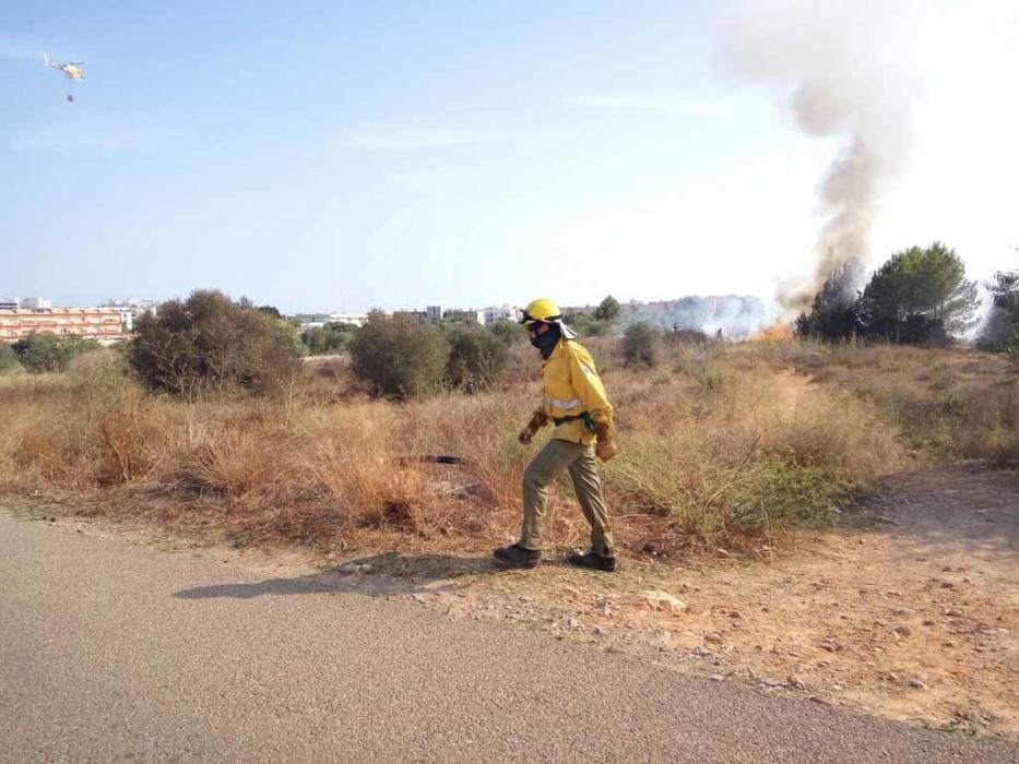 El incendio se ha declarado poco antes de las 17:00 horas