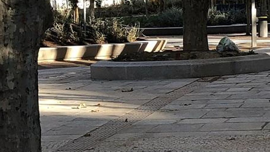 El pavimento podotáctil de la nueva plaza conduce a puntos como alcorques.