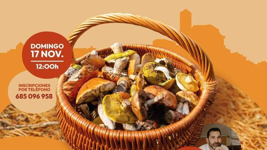 Cehegín celebra sus Jornadas Micológicas con platos exclusivos y un taller gastronómico