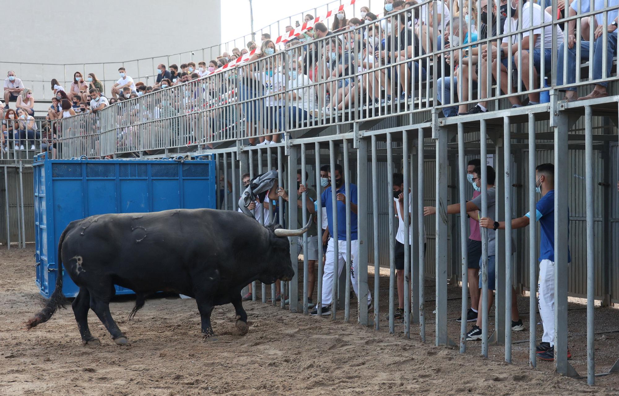 Primera jornada taurina de las fiestas de Vila-real