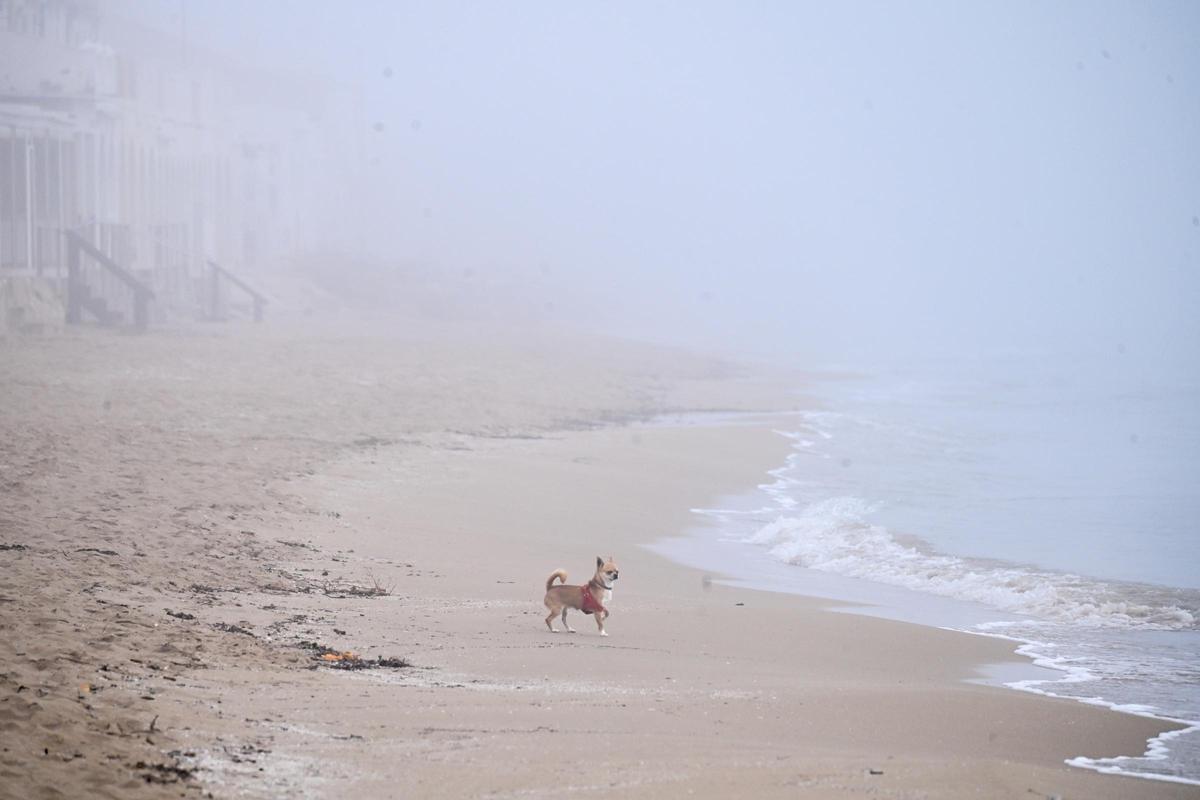 La niebla deja estampas invernales en la provincia de Alicante