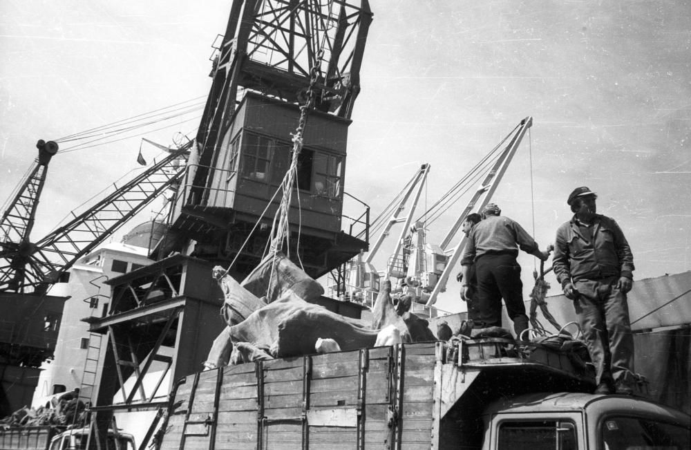 Los muelles, ahora en el centro de la polémica, ya trabajaban hace décadas con los materiales que rechazan los vecinos del entorno portuario