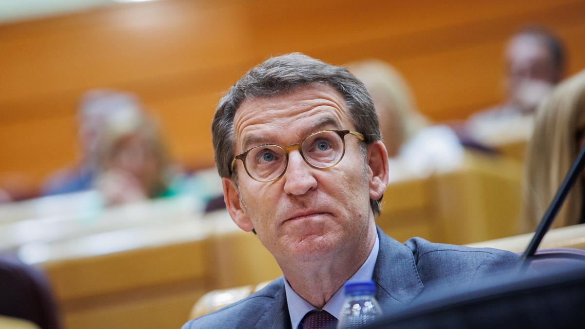 El líder del PP, Alberto Núñez Feijóo, durante una sesión plenaria, en el Senado, a 21 de junio de 2022, en Madrid (España).