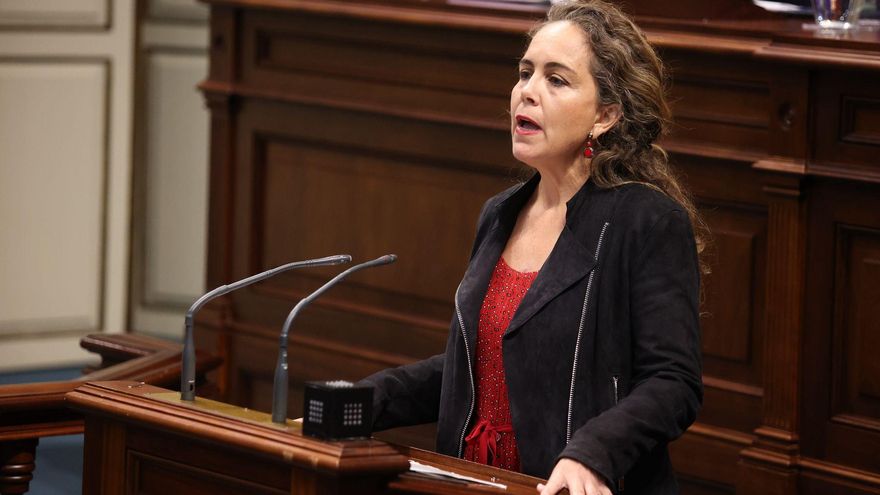 Vox Canarias también apuesta por la expulsión de inmigrantes ilegales