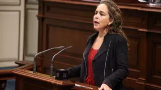 Vox Canarias también apuesta por la expulsión de inmigrantes ilegales