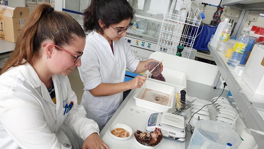 Solo un tercio de los alumnos de doctorado de la UVigo tienen una beca o contrato