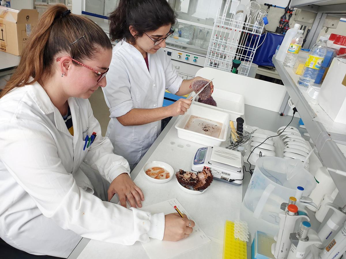 Dos investigadoras, en un laboratorio de la Ecimat de Toralla.