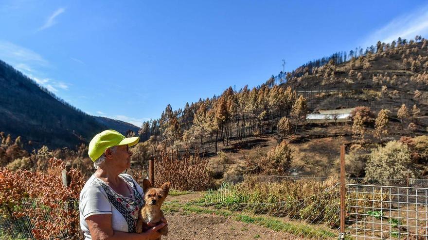 Vídeo | Testimonios de vecinos de Avellanar y Cerezal sobre el incendio de Las Hurdes