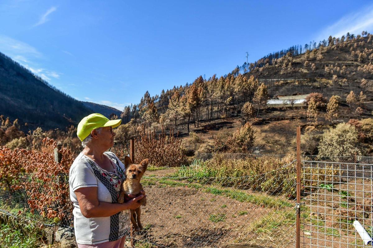 Galería | Las Hurdes, 15 días después del incendio forestal
