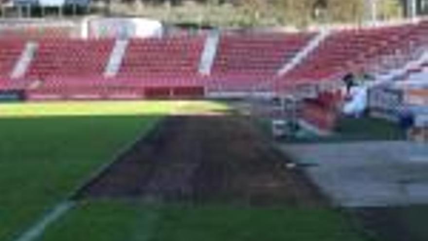 Montilivi muda una part de la gespa de l&#039;estadi