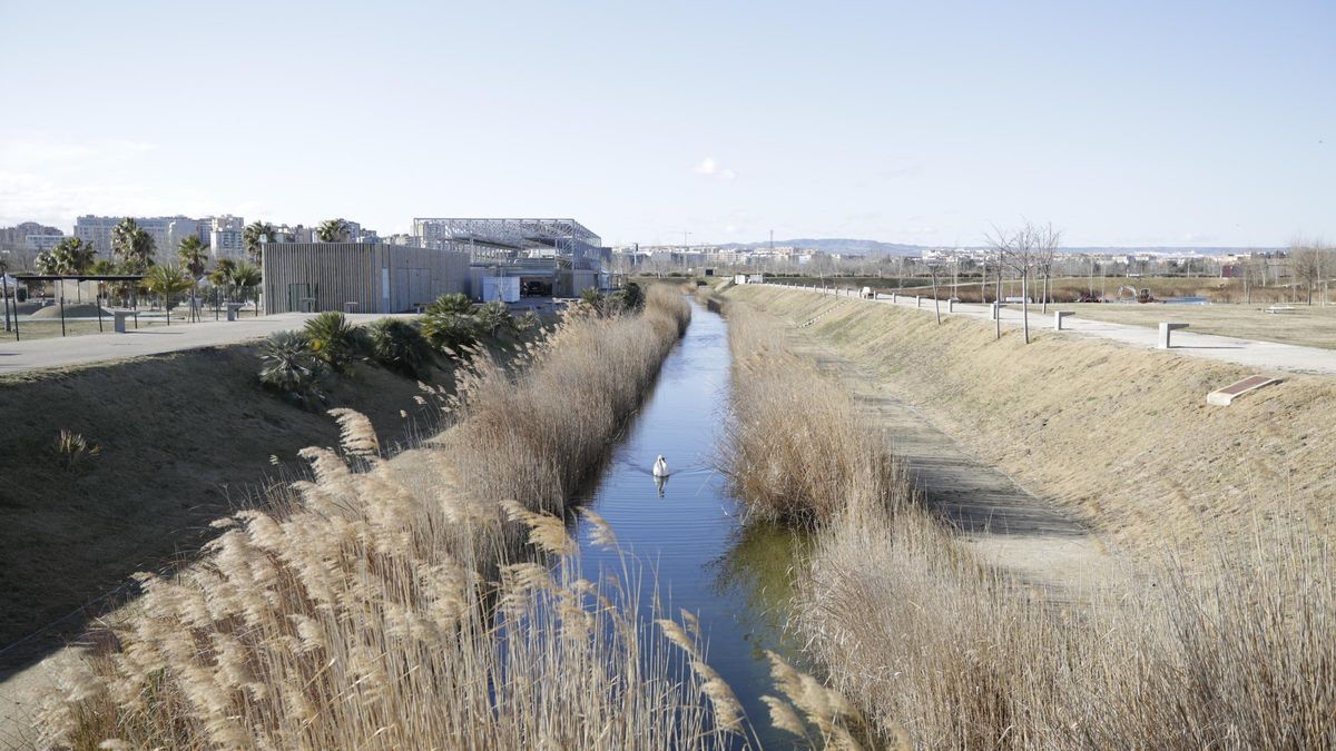 Parque del Agua de Zaragoza, en el meandro de Ranillas, uno de los espacios naturales de la ciudad.