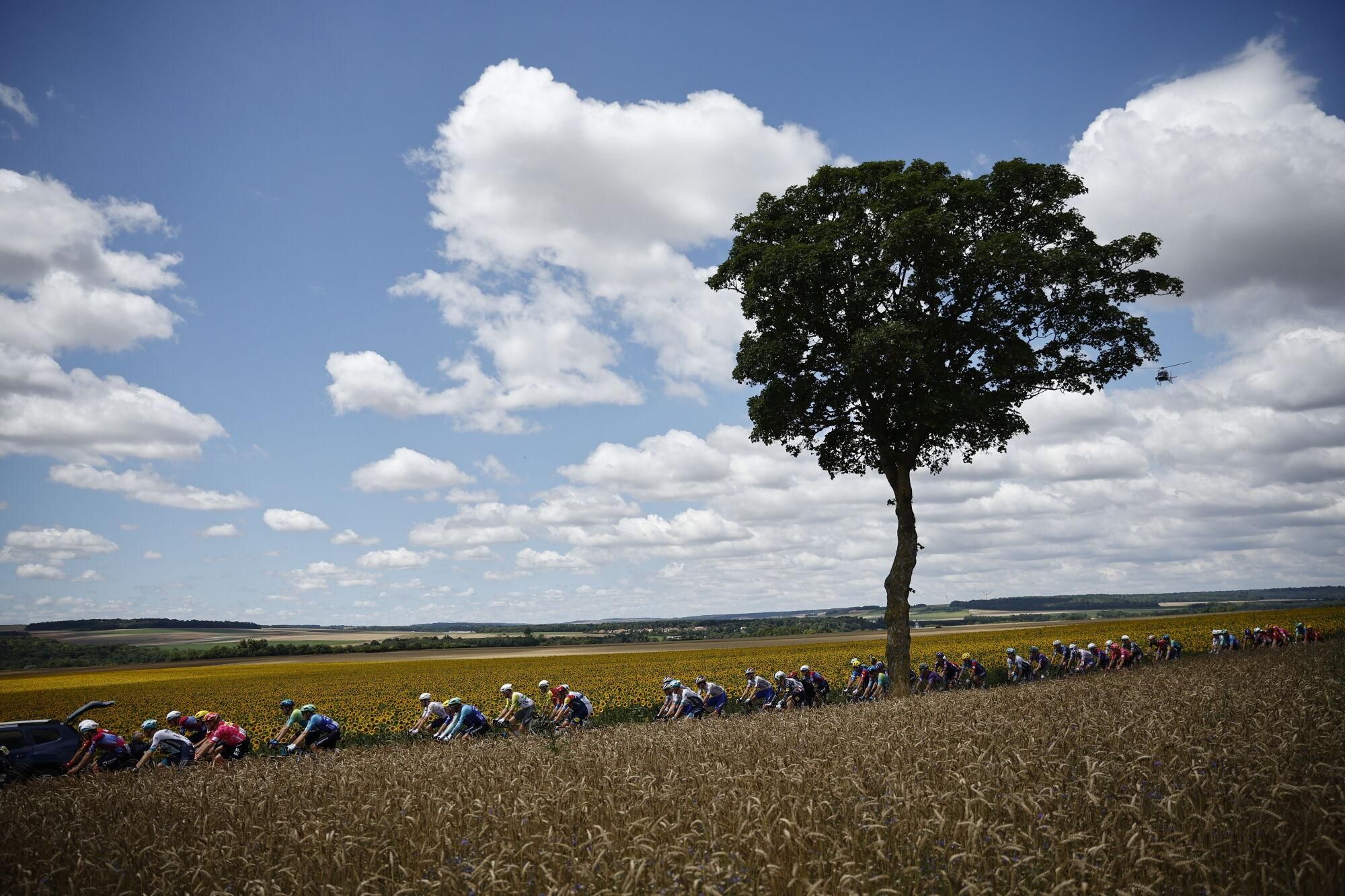 (France), 08/07/2025.- The peloton in action during the 4th stage of the Tour de France cycling race over 174.2km from Amiens to Rouen, France, 08 July 2025. (Ciclismo, Francia) EFE/EPA/MARTIN DIVISEK