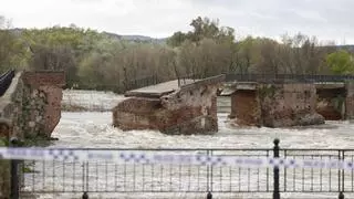 La crecida del río Tajo derrumba parte del puente Viejo de Talavera de la Reina en Toledo