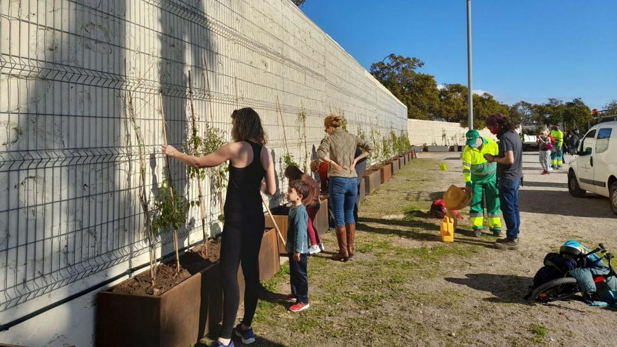 Varios vecinos, plantando varias enredaderas. | AYUNTAMIENTO DE PALMA