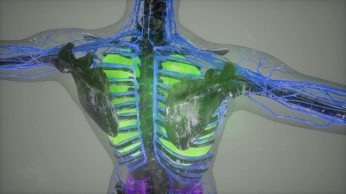 El tratamiento para el cáncer microcítico supone un cambio de estándar en el abordaje de este tipo de tumor.