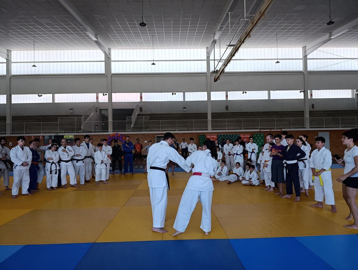 La Fresneda, en Siero, "feminiza" los tatamis de su polideportivo