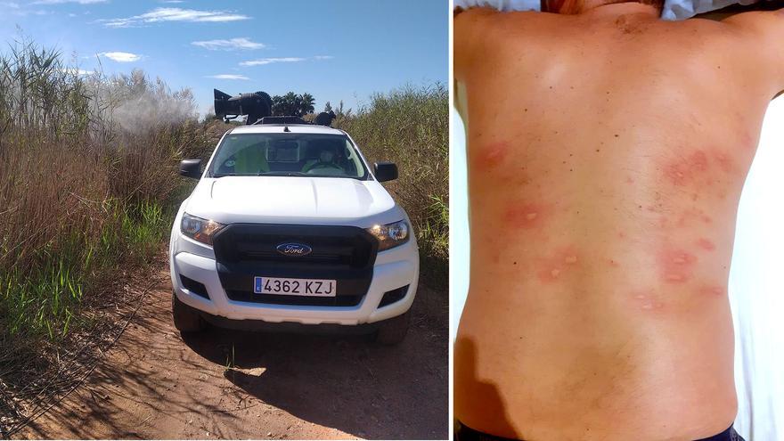 Vecinos de Castellón: «Los mosquitos nos acribillan, nunca habíamos visto tantos»