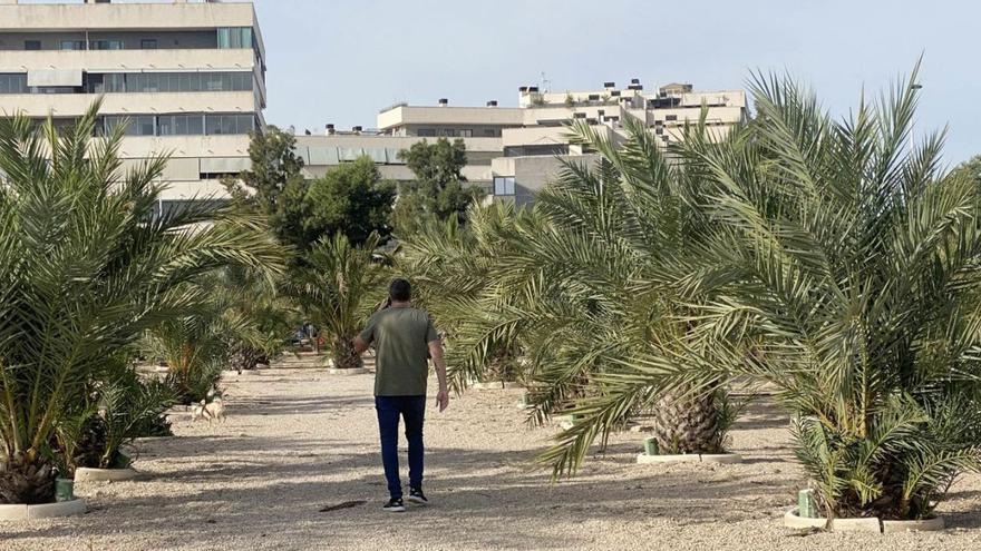 El jardín de los niños de Elche 12 años después