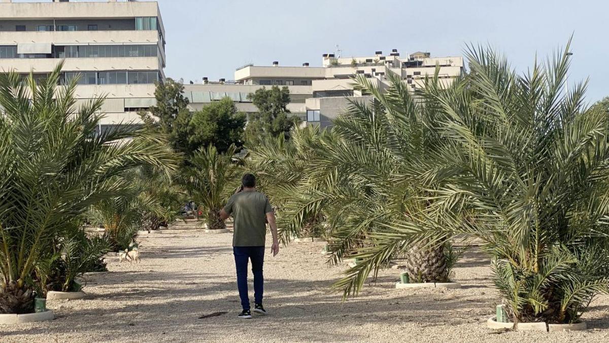 El «Jardín de los niños y de las niñas» de Altabix y del Hospital del Vinalopó, días atrás, donde el Ayuntamiento está acometiendo una limpieza rutinaria. | ´MATÍAS SEGARRA