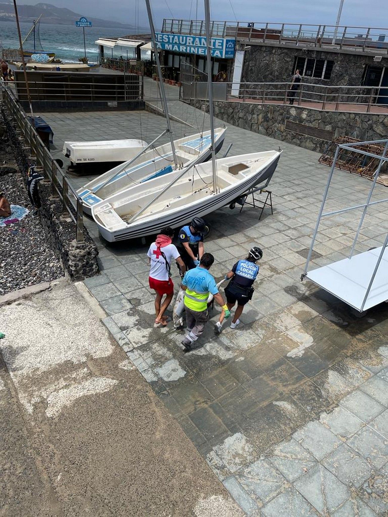 Rescatan del mar el cadáver de una oveja en Las Canteras