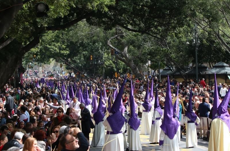 Domingo de Ramos de 2016 | Pollinica