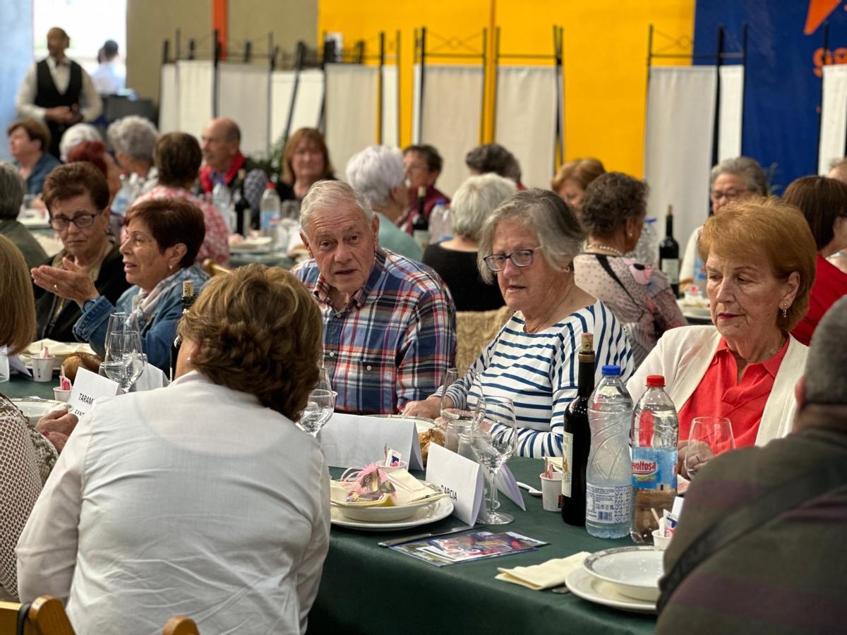En imágenes: más de 200 personas se reúnen en Luarca gracias al programa Rompiendo Distancias