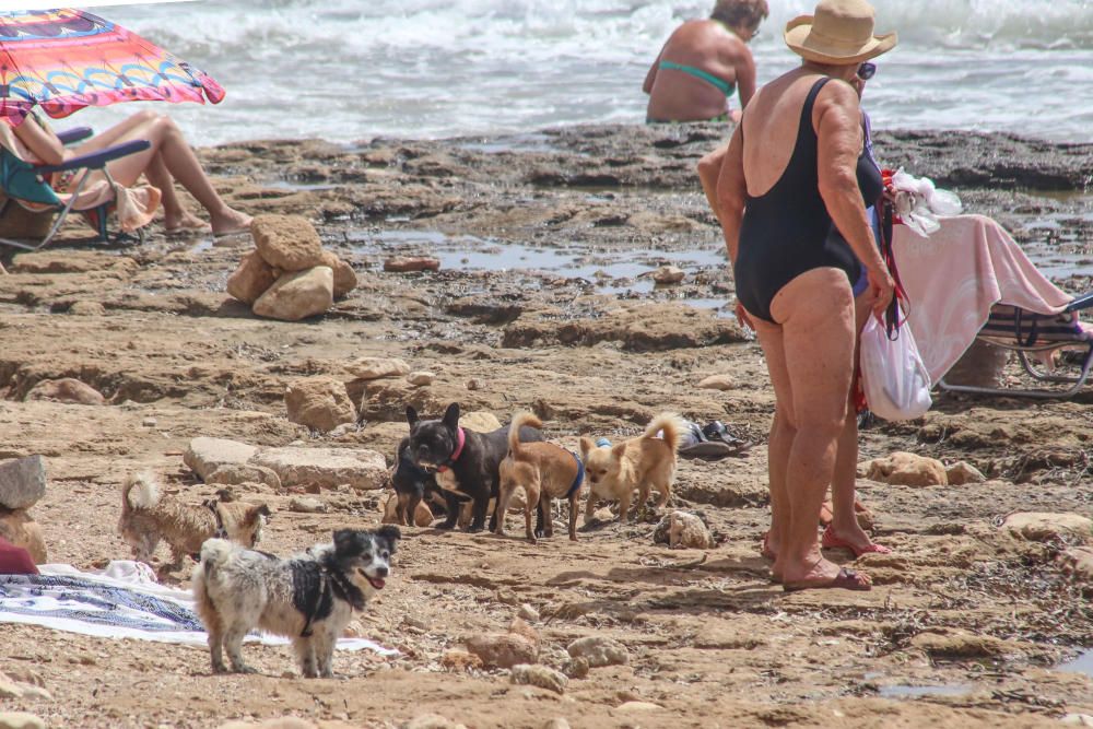 Vecinos de Punta Margalla en Torrevieja, en contra