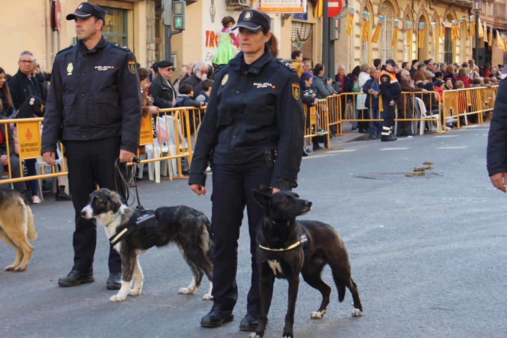 Fiesta de Sant Antoni en la ciudad de València