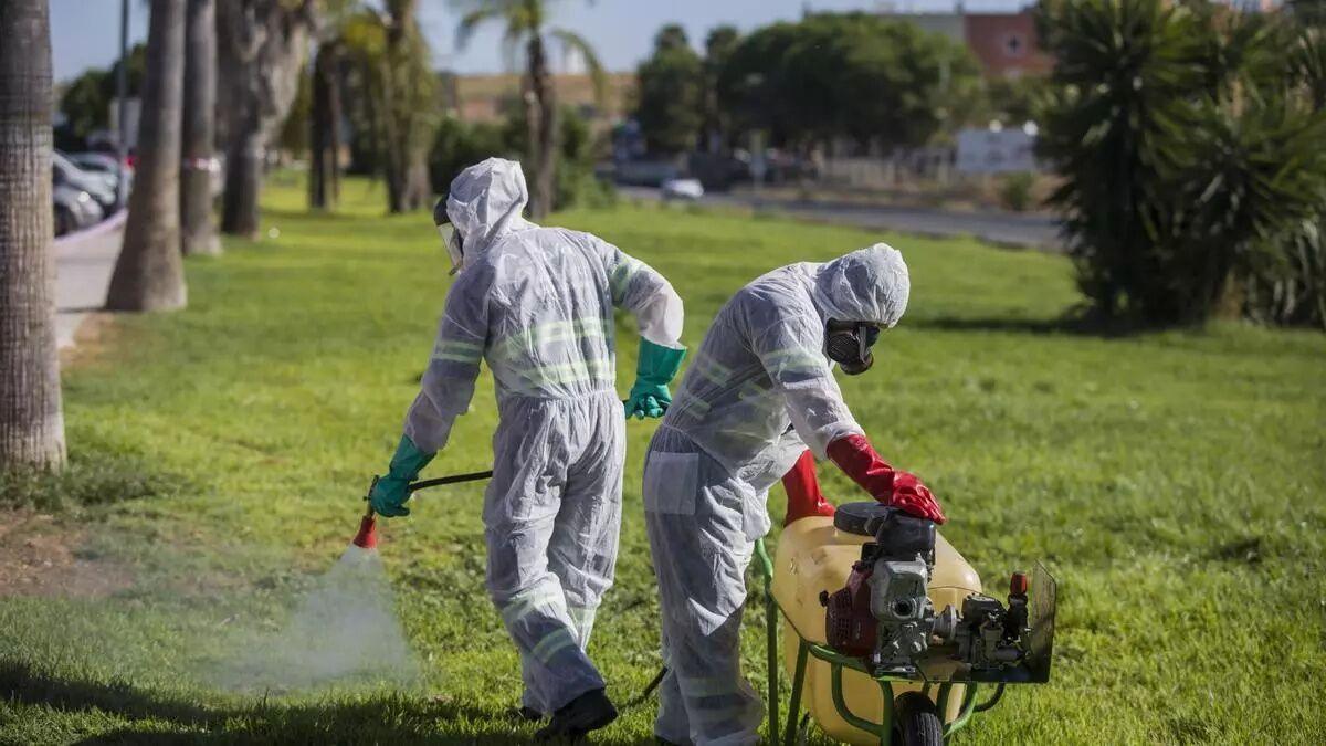 Trabajadores durante las labores de fumigación contra los mosquitos causantes del virus del Nilo en Coria del Río