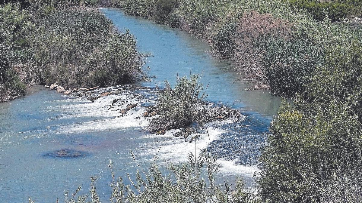 Río entre matorrales.