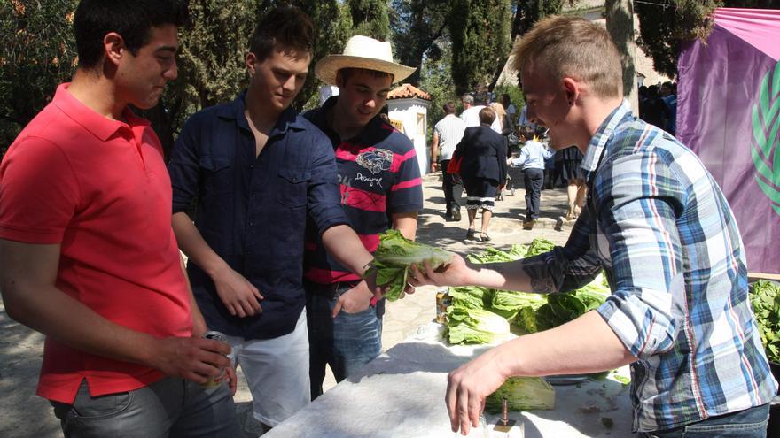 El pueblo que aún conserva la tradición de rendir culto a la lechuga