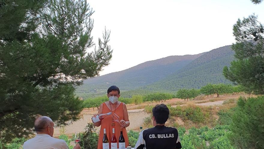 Un paseo entre cepas y vinos en el Valle del Aceniche