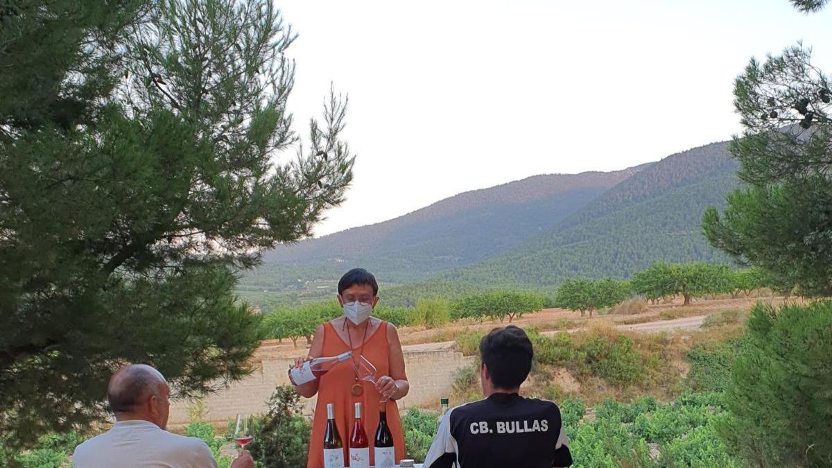 Un paseo entre cepas y vinos en el Valle del Aceniche