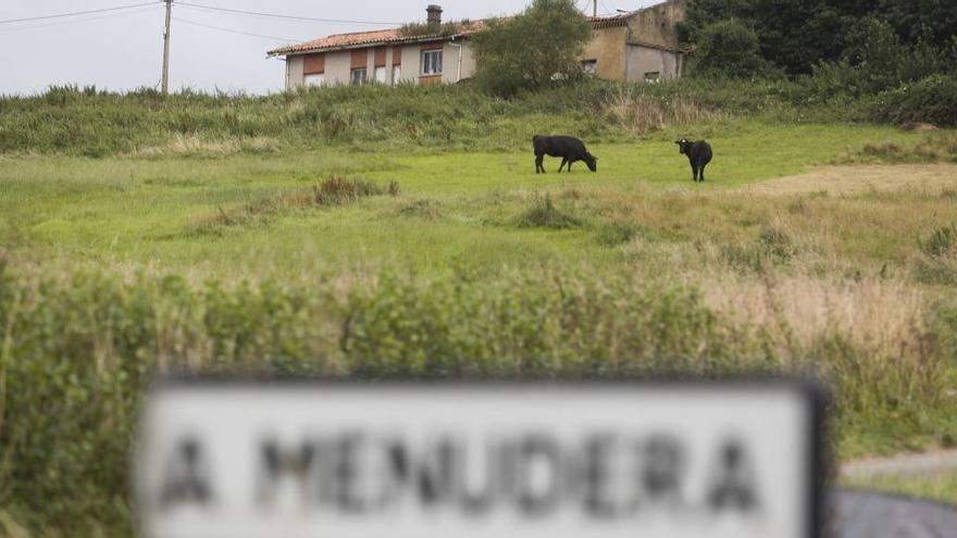 La finca en la que aparecieron los animales en mal estado.