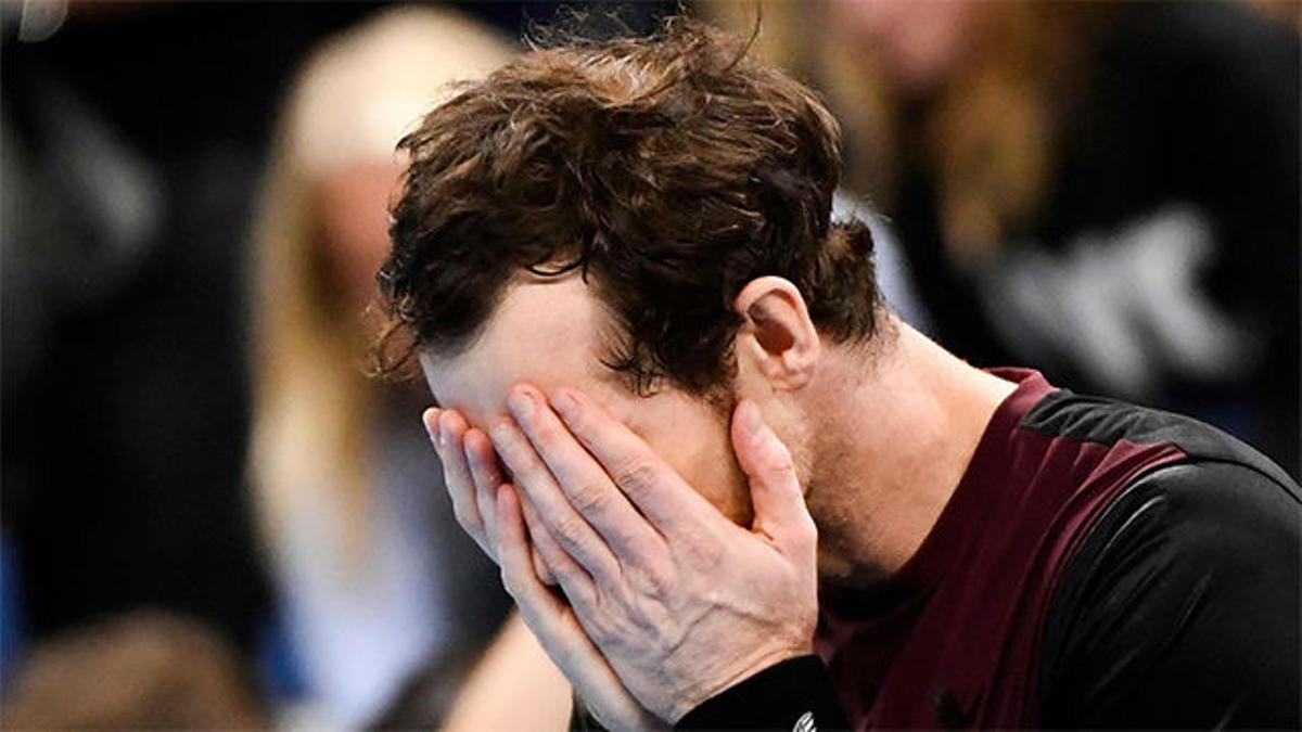 Andy Murray rompe a llorar tras ganar el título en Amberes