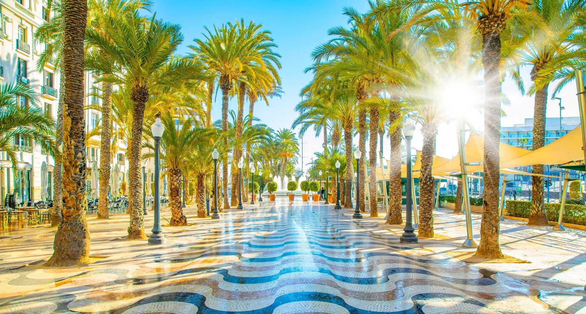 El paseo marítimo de la ciudad de Alicante