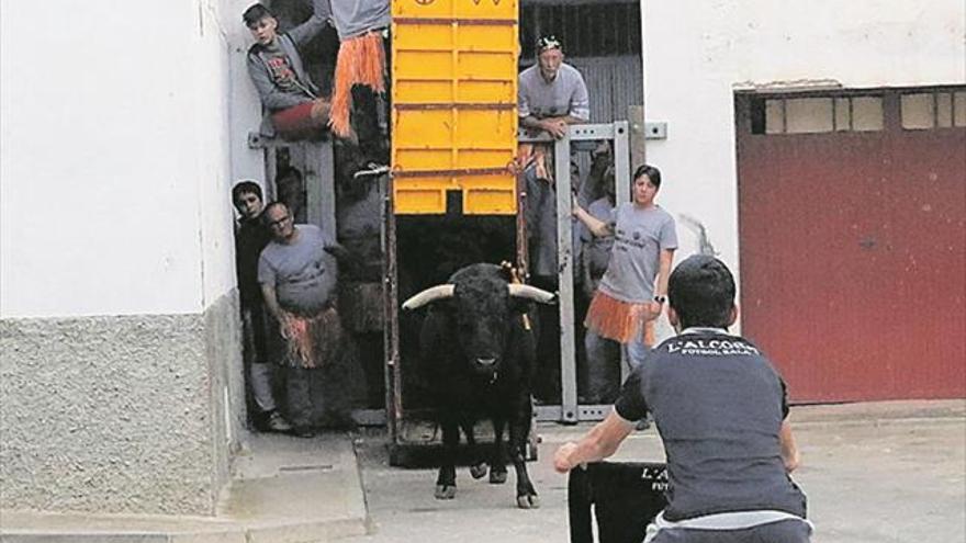 Toros y música llenan de gente la recta final festiva en la Foia