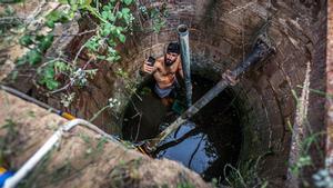 Tarzández: un Tarzan català a domicili