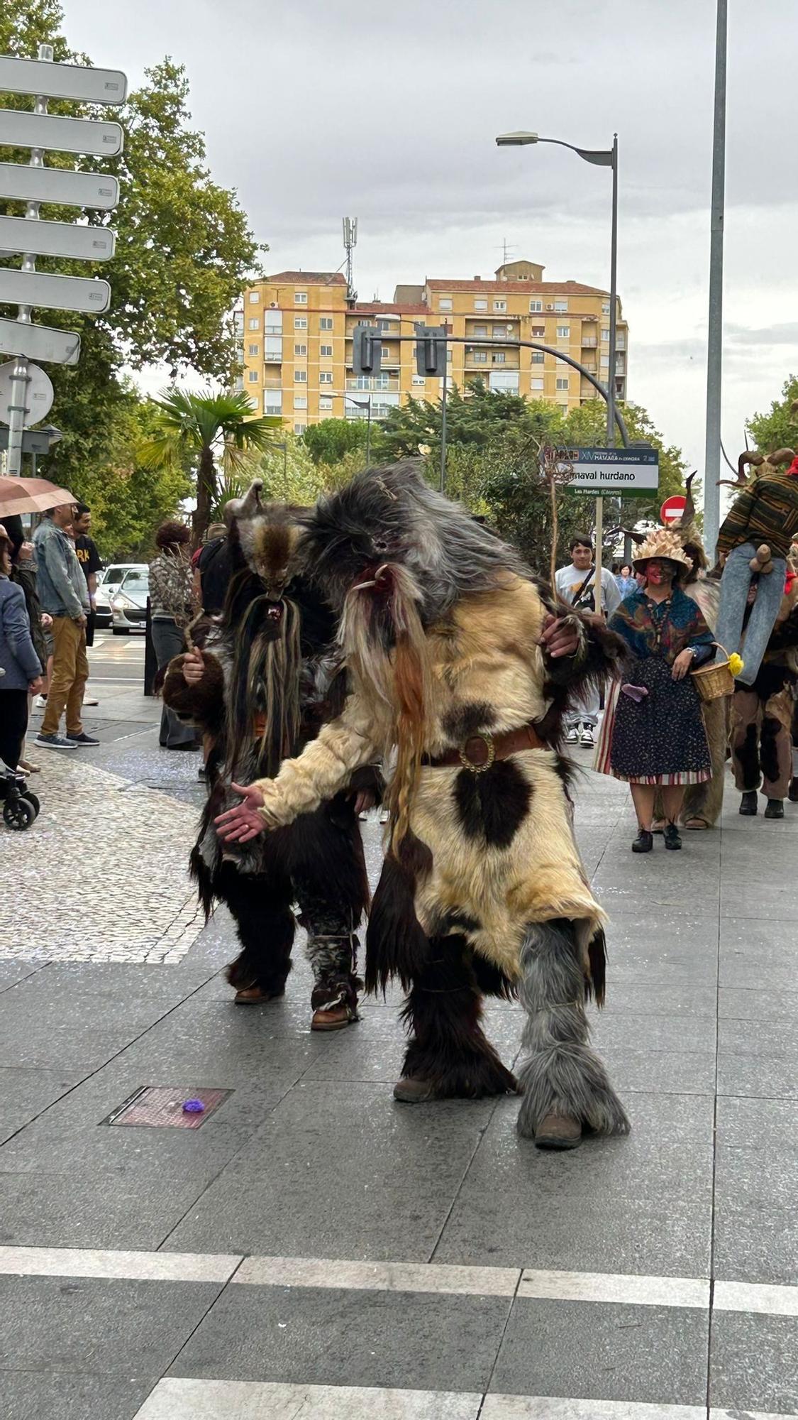 Galería | Cáceres en la mascarada de Zamora