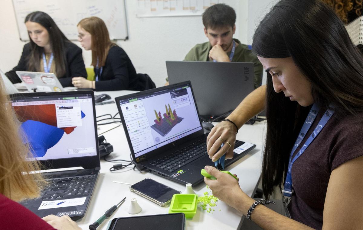 Alicante exporta a Europa prototipos en 3D del cerebro