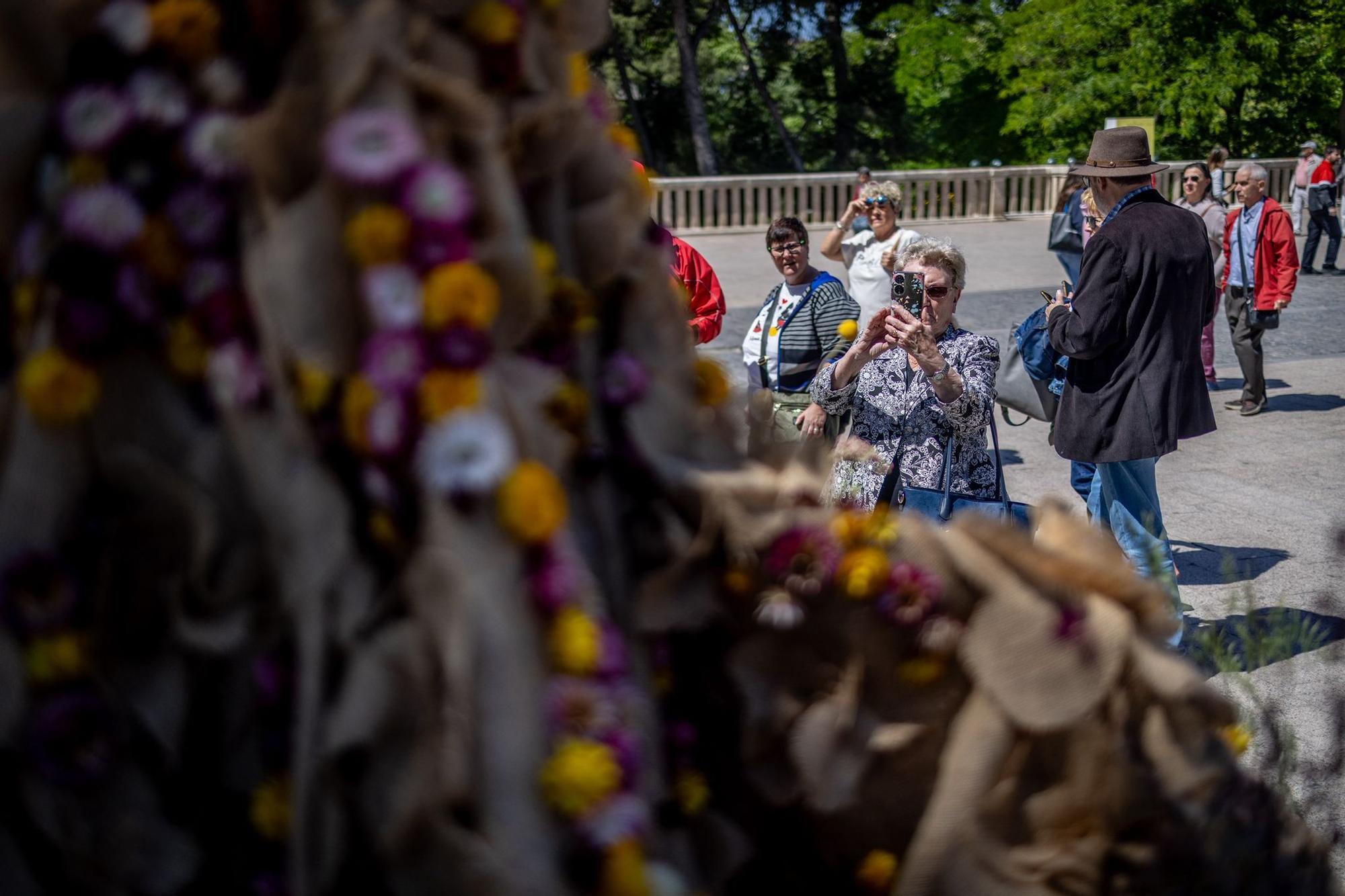 El festival Zaragoza Florece adorna el Parque José Antonio Labordeta hasta este domingo