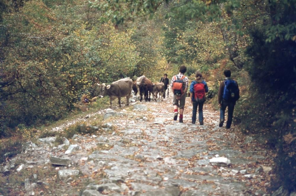 Fotografías de montaña donadas al Pueblo de Asturias