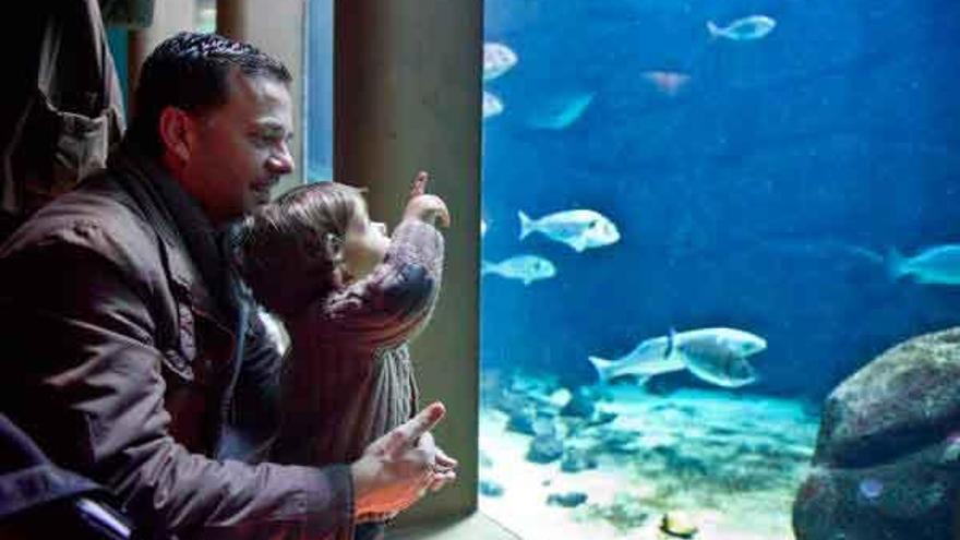 Visitantes en la sala &#039;Nautilus&#039; del Aquarium Finisterrae. / Fran Martínez