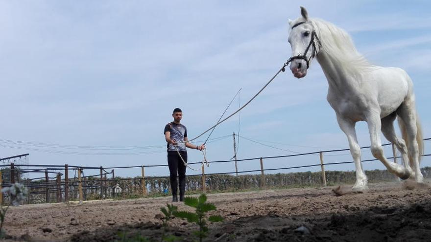 Mil alumnos de FP llevan dos meses sin prácticas de manejo de caballos