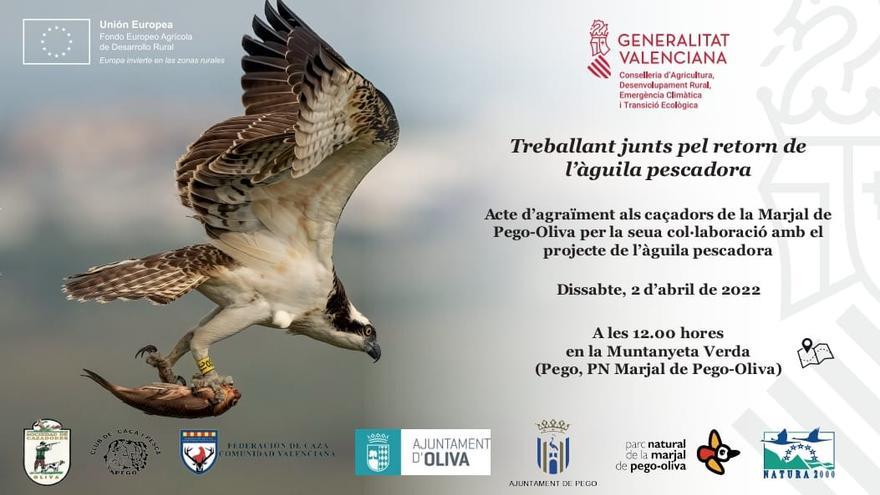 Reconocimiento a los cazadores de Pego y Oliva por su colaboración en la reintroducción del águila pescadora en la Marjal