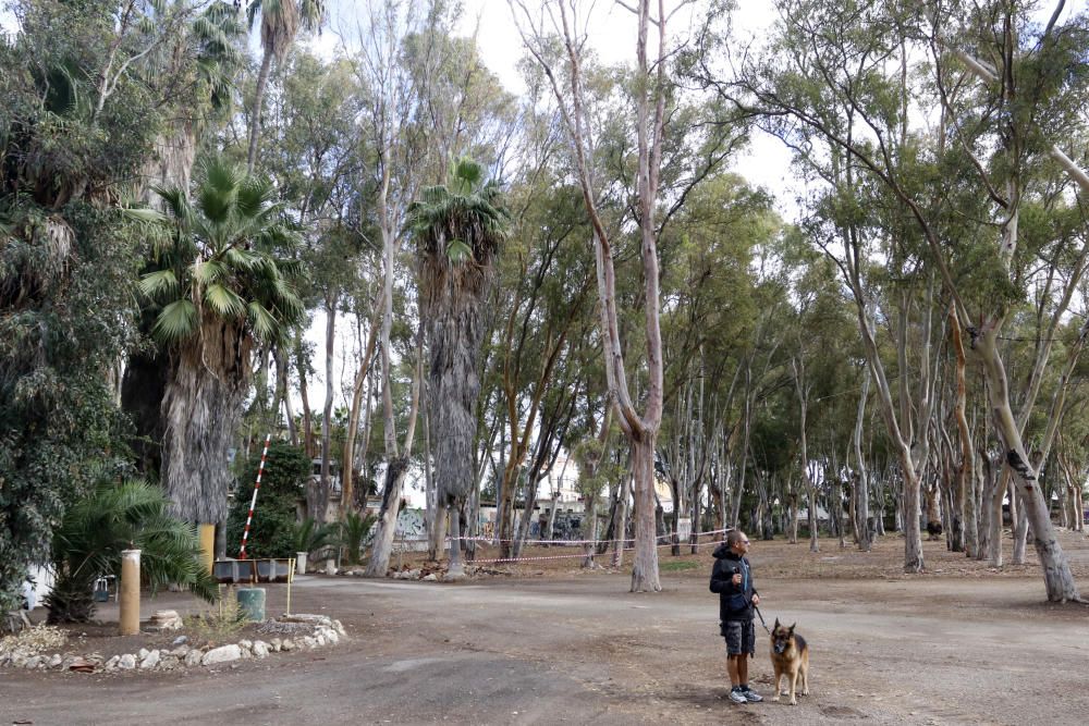 Trabajo de demolición de las antiguas pistas de tenis e instalaciones sin uso de los Baños del Carmen.