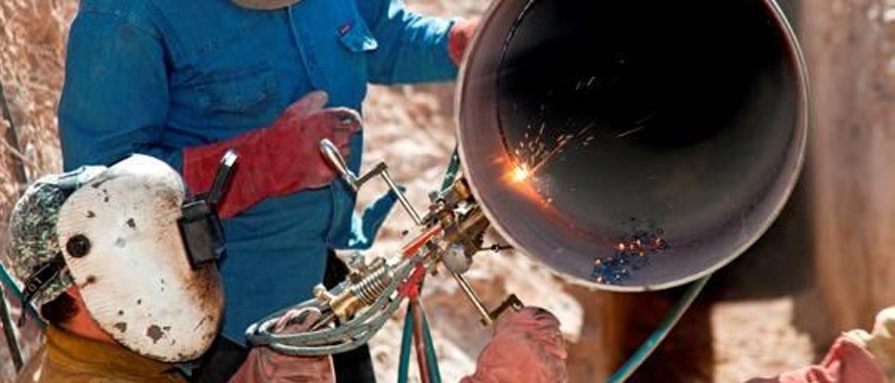 Los trabajos del gasoducto Elche-Monóvar-La Algüeña han comenzado esta semana