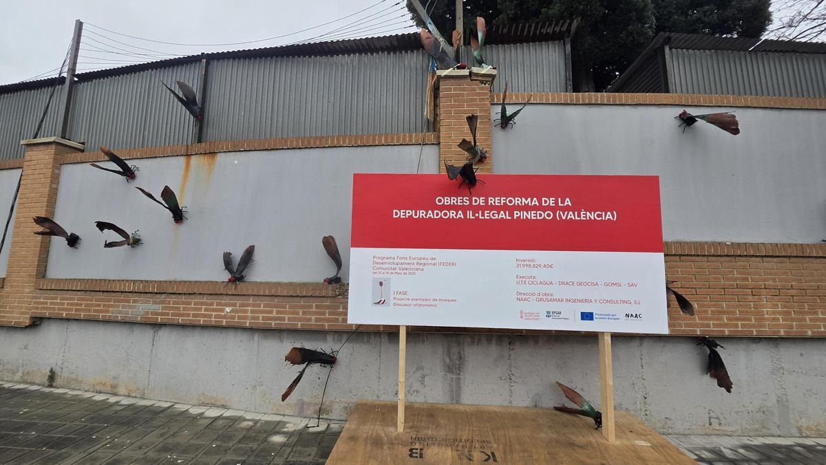 El paisaje urbano se llenó de moscas