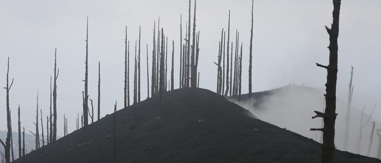 El hombre contra la lava: Comienza la reconstrucción de La Palma