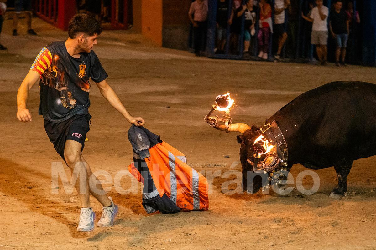 Bous a l'Alcora 2025